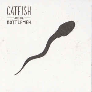 Catfish and the bottlemen
