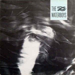 The waterboys