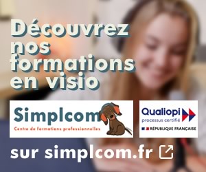 Formation en ligne simplcom 300x250