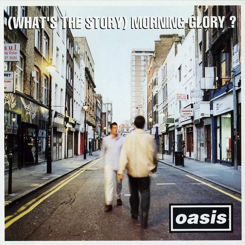 oasis morning glory