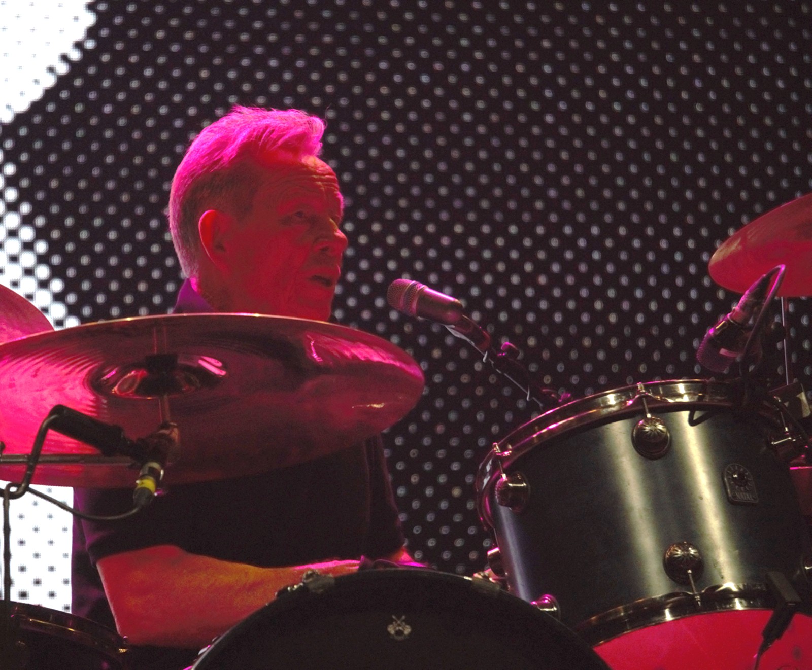 concert sex pistols jardin sonore 17