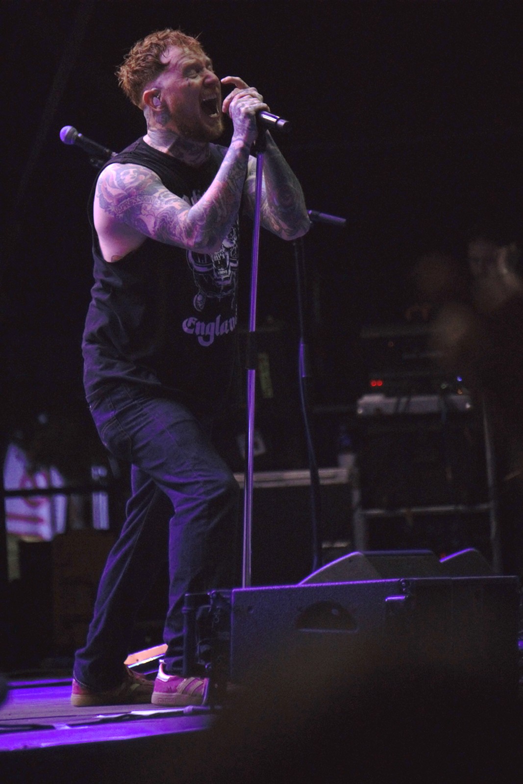 concert sex pistols jardin sonore 2