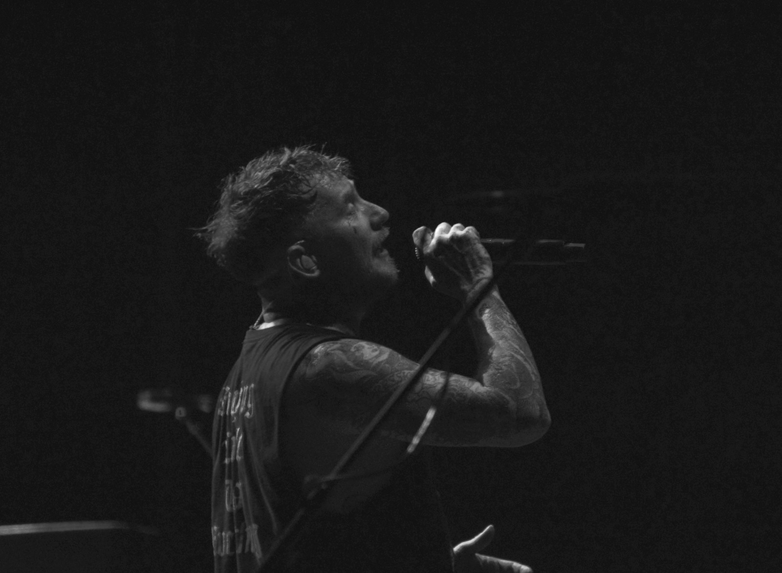 concert sex pistols jardin sonore 30