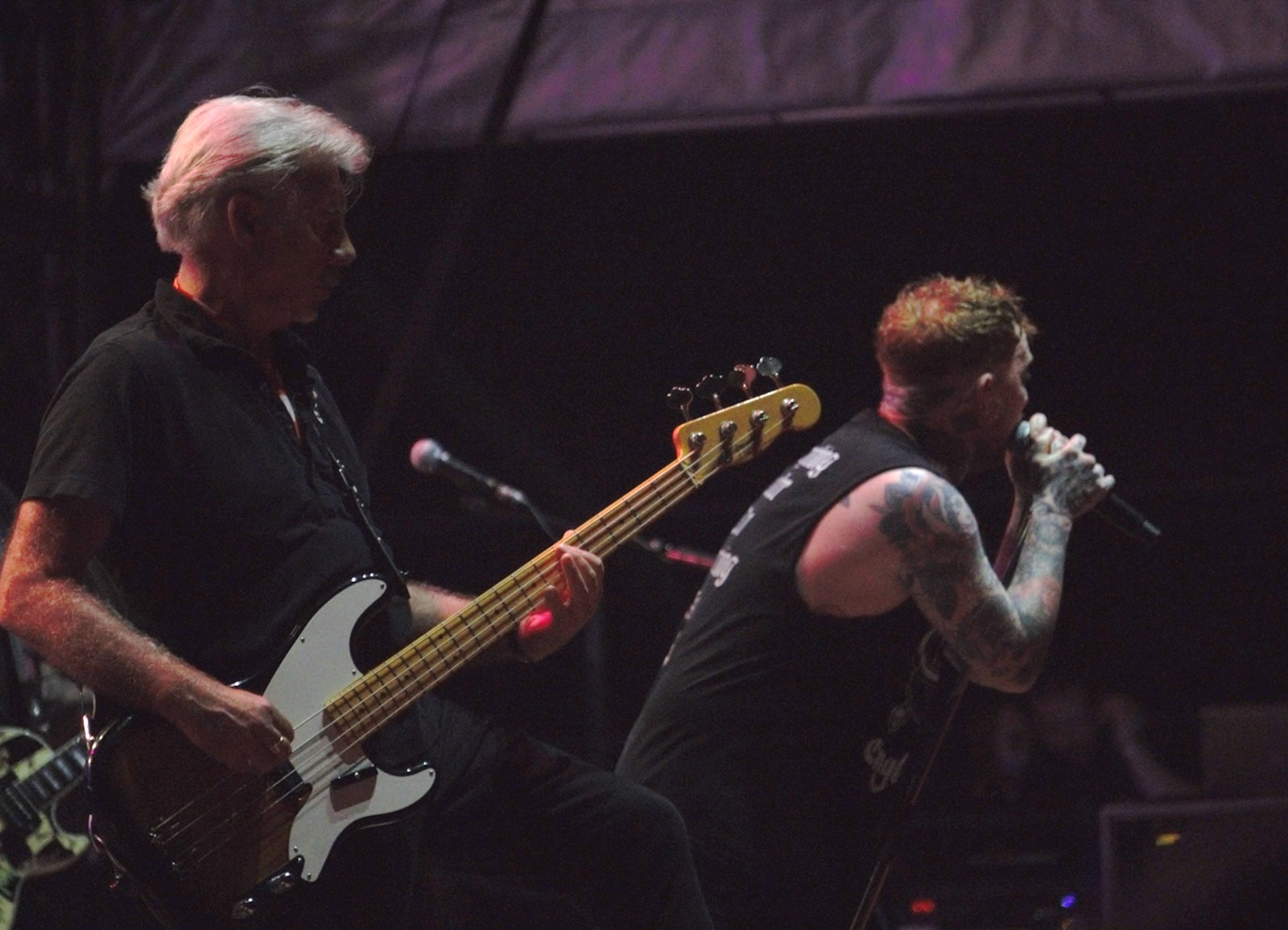 concert sex pistols jardin sonore 35