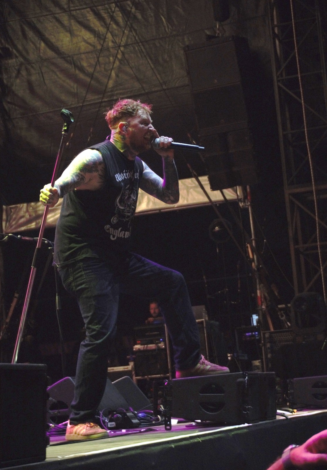 concert sex pistols jardin sonore 6