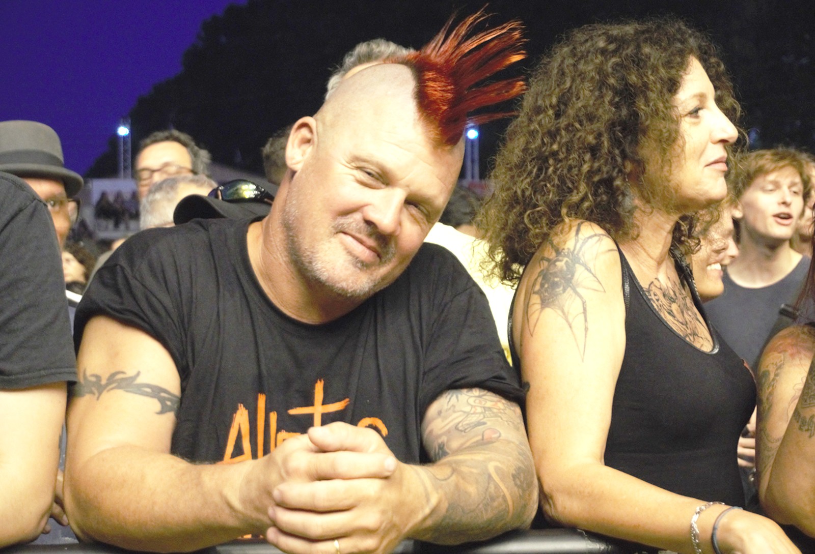 concert sex pistols jardin sonore 60