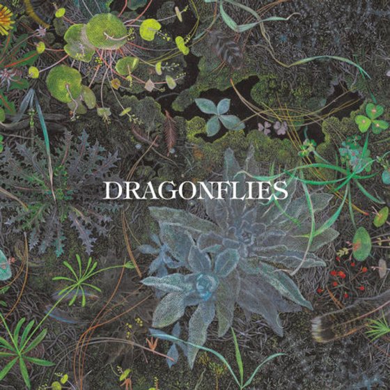 Pochette - Dragonflies - Dragonflies