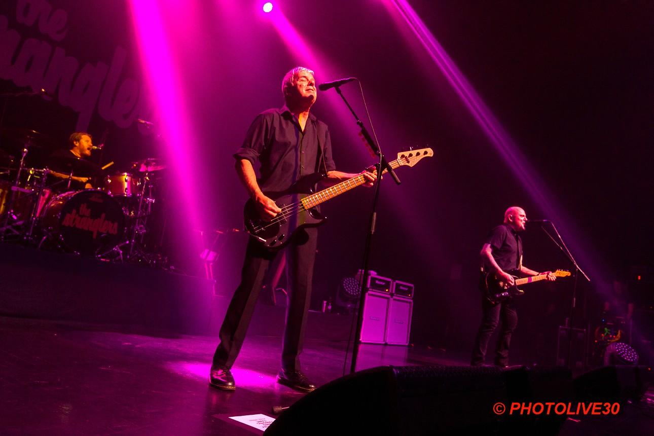 stranglers nimes paloma 10 2024 10