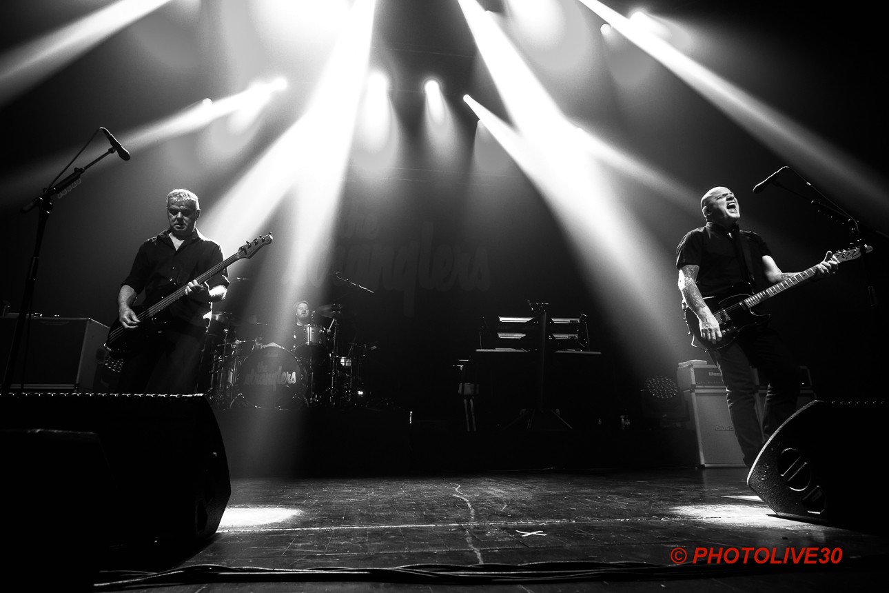 stranglers nimes paloma 10 2024 12