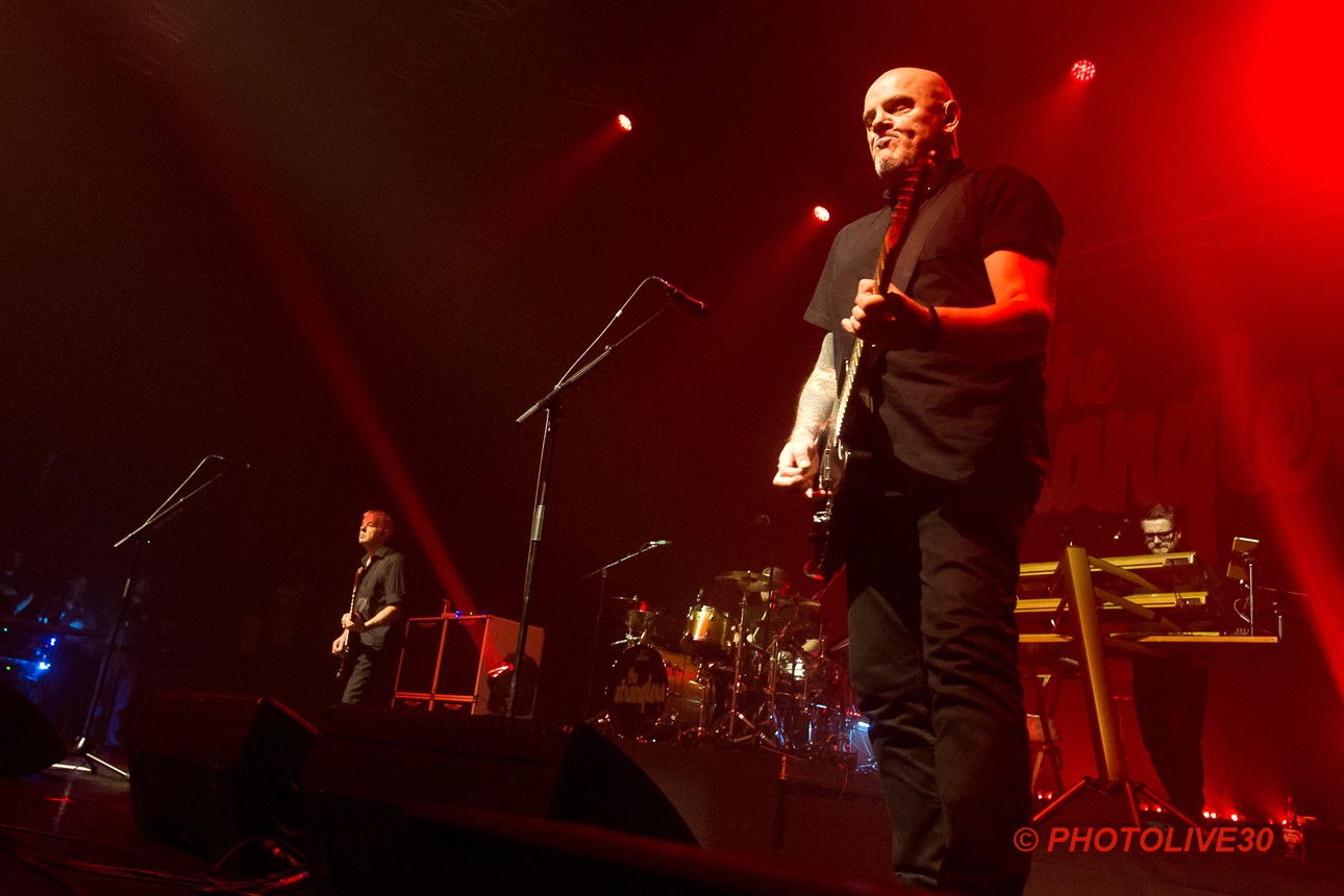 stranglers nimes paloma 10 2024 2
