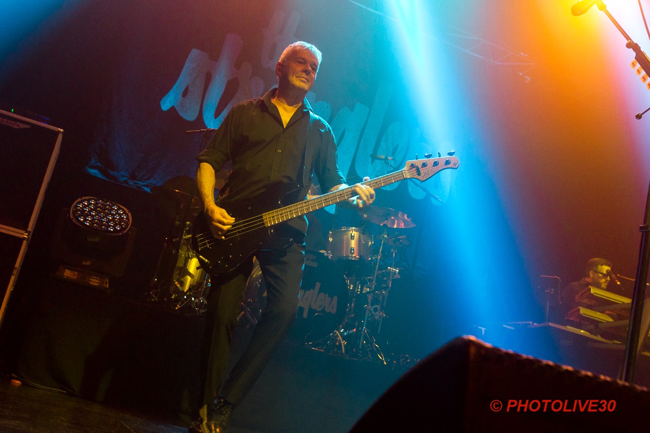 stranglers nimes paloma 10 2024 9