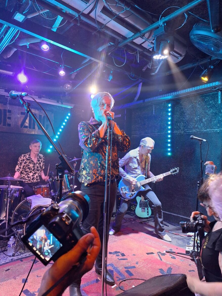 the fleshtones live brin de zinc