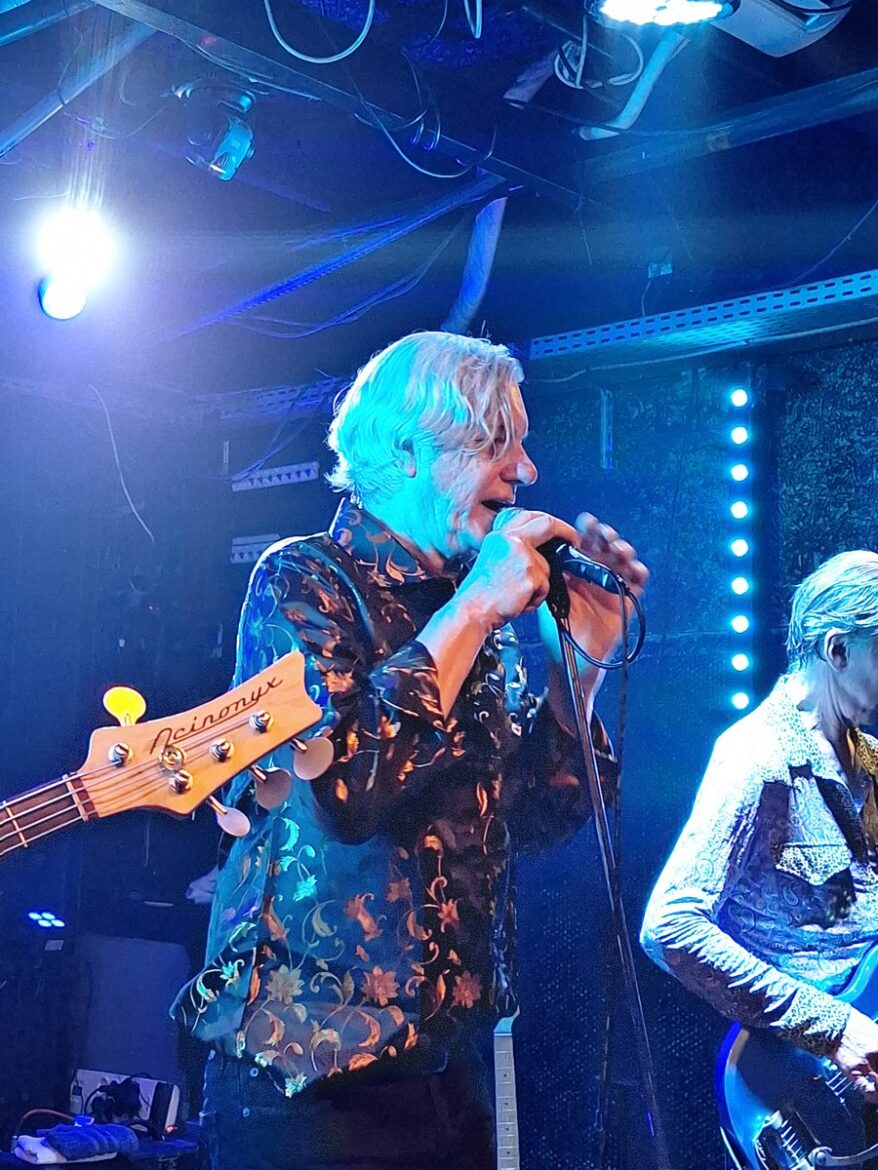 the fleshtones live brin de zinc 1