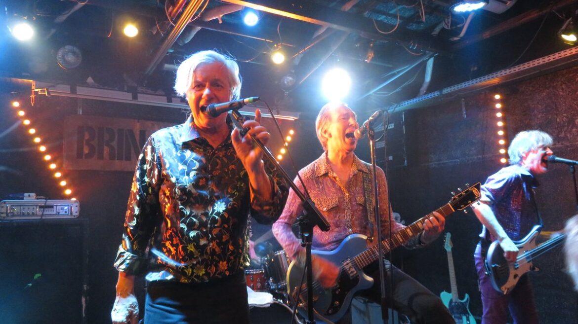 the fleshtones live brin de zinc 17