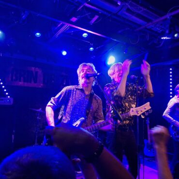 the fleshtones live brin de zinc 2