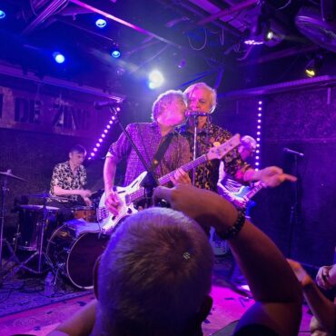 the fleshtones live brin de zinc 3