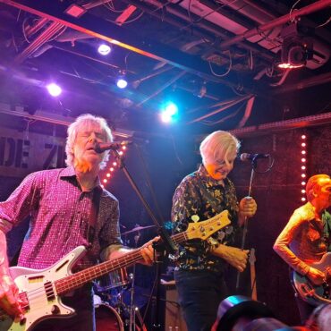 the fleshtones live brin de zinc 6