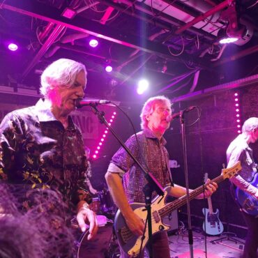 the fleshtones live brin de zinc 7