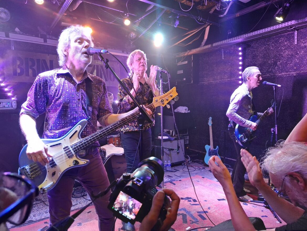 the fleshtones live brin de zinc 8