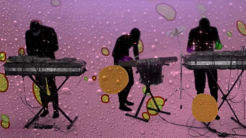 animal collective