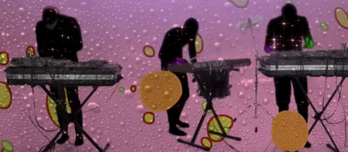 animal collective