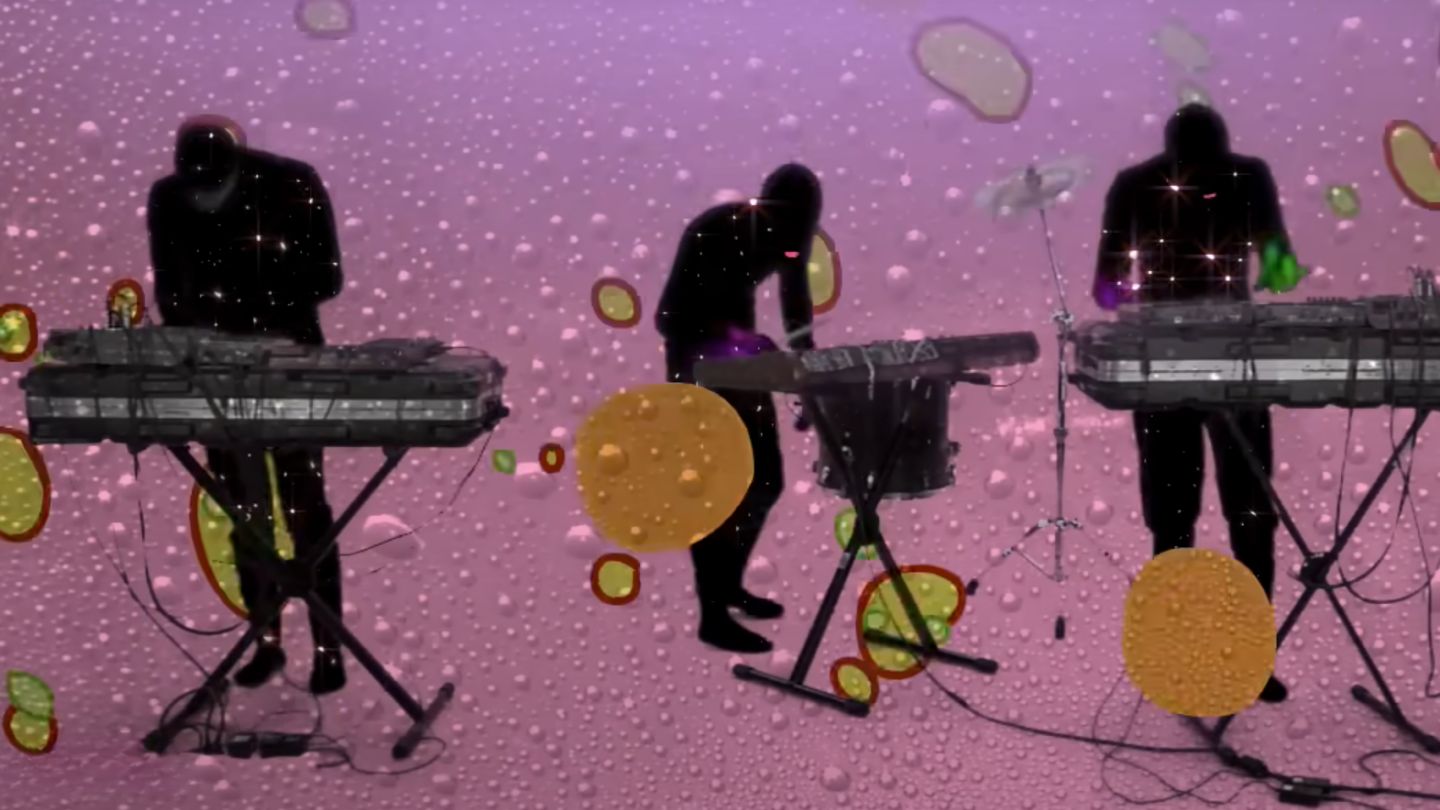 animal collective