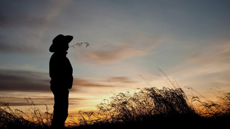 emission big cactus country