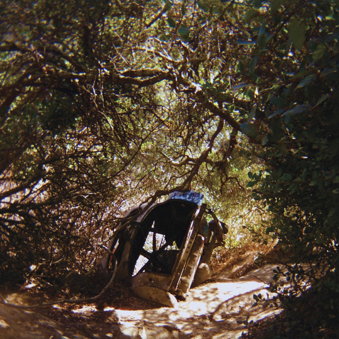 ty segall–possession