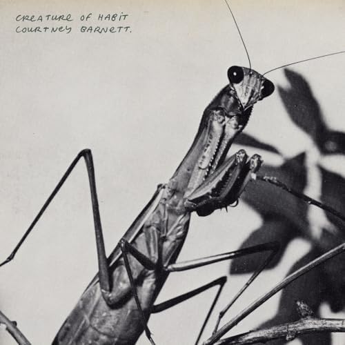 courtney barnett – creature of habit